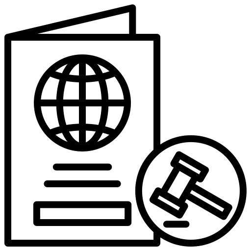 Immigration lawyer